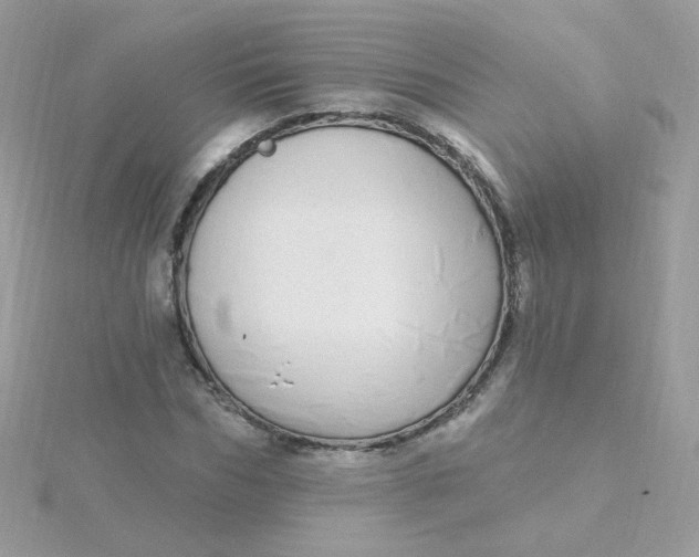 X0000115710970200911251852