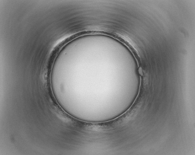 X0000115710971200911251852