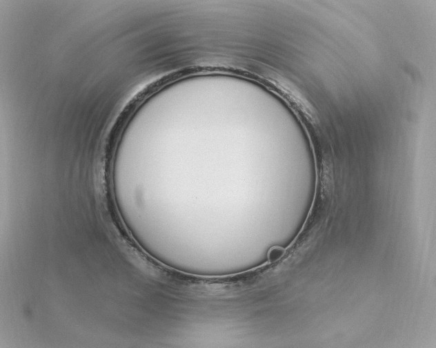 X0000115710976200911251852