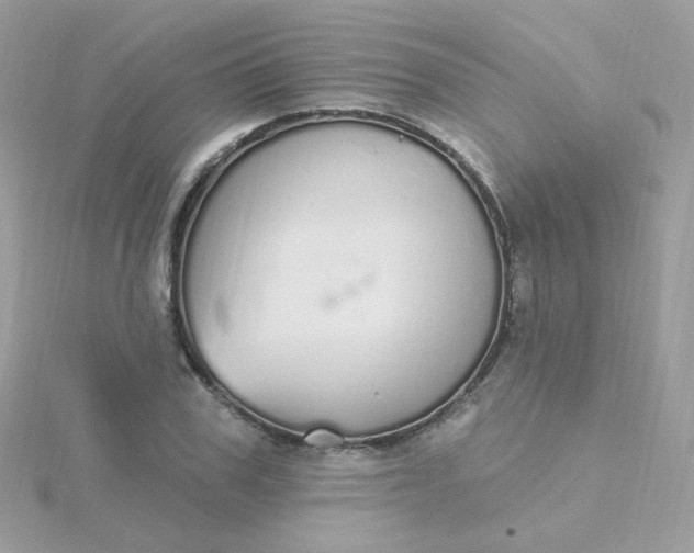 X0000115710979200911251852