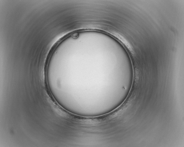 X0000115710980200911251852