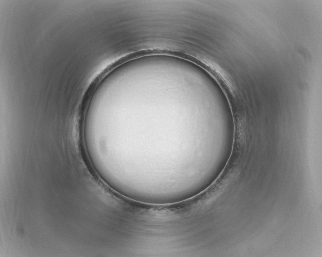 X0000115710983200911251852