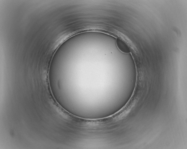 X0000115710985200911251852