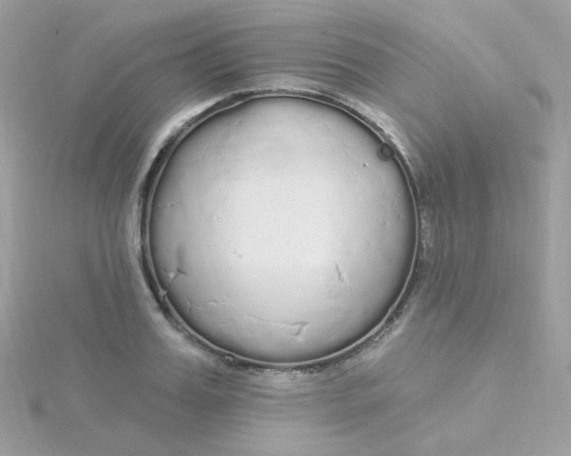 X0000115710987200911251852