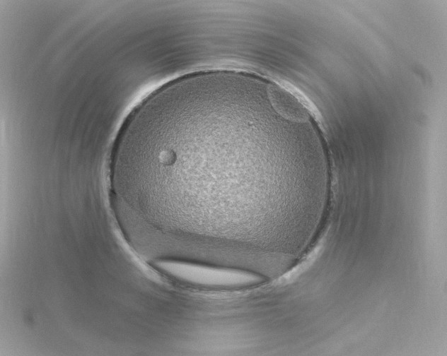 X0000115710989200911251852