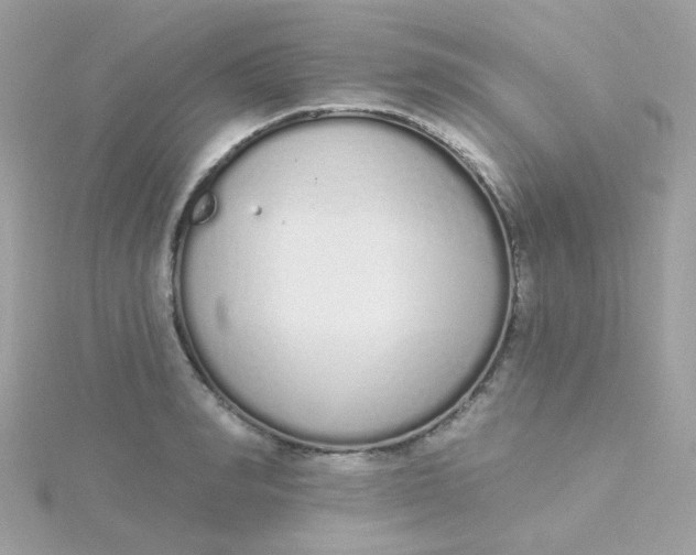 X0000115710990200911251852