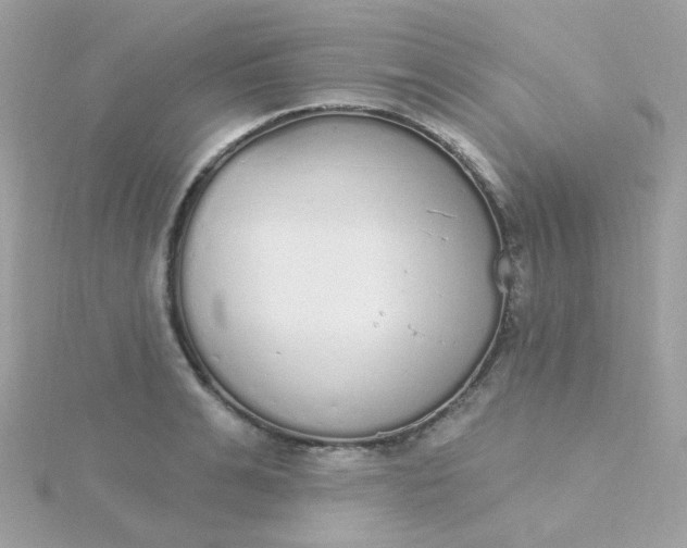 X0000115710991200911251852