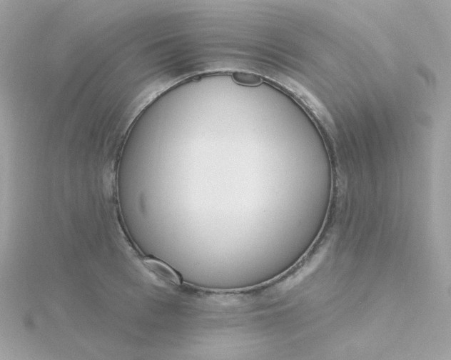 X0000115710993200911251852