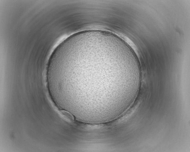 X0000115710997200911251852