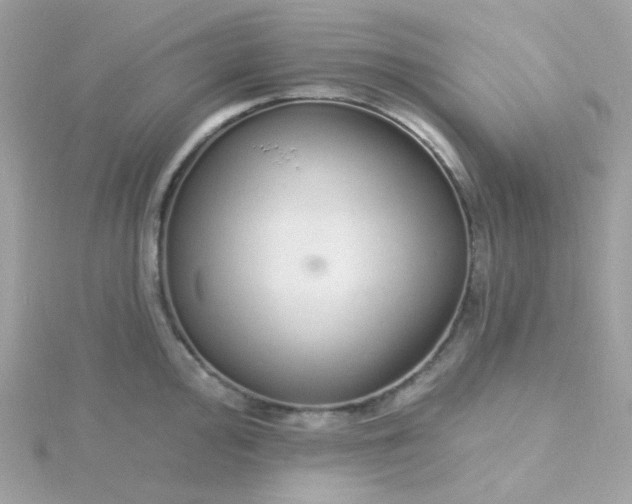 X0000115711000200911251852