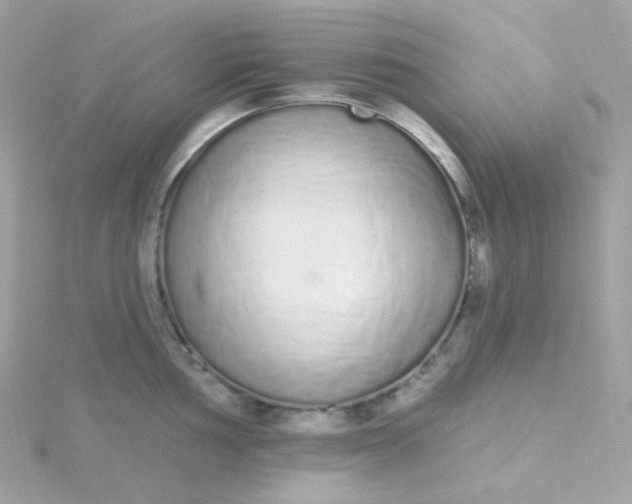 X0000115711002200911251852