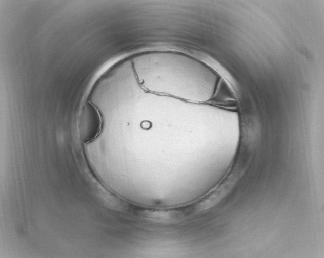 X0000115711004200911251852