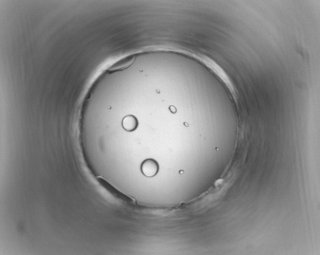 X0000115711005200911251852