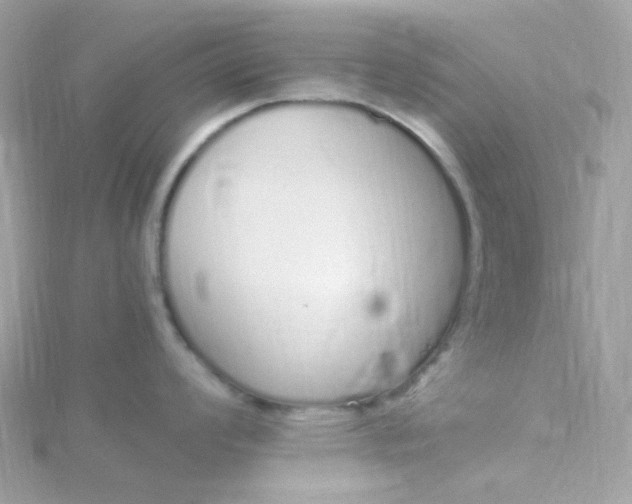 X0000115711008200911251852