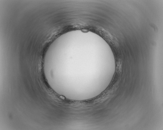 X0000115711012200911251851