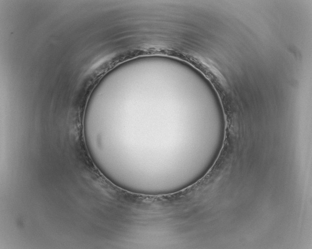 X0000115711015200911251851