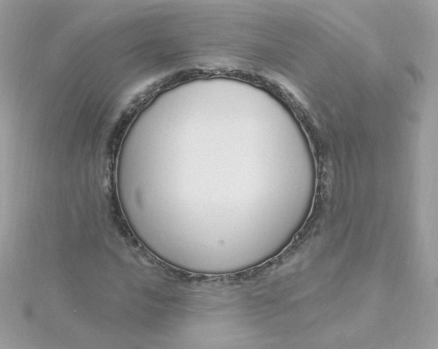 X0000115711016200911251851