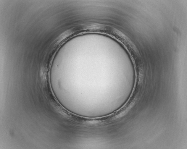 X0000115711017200911251851