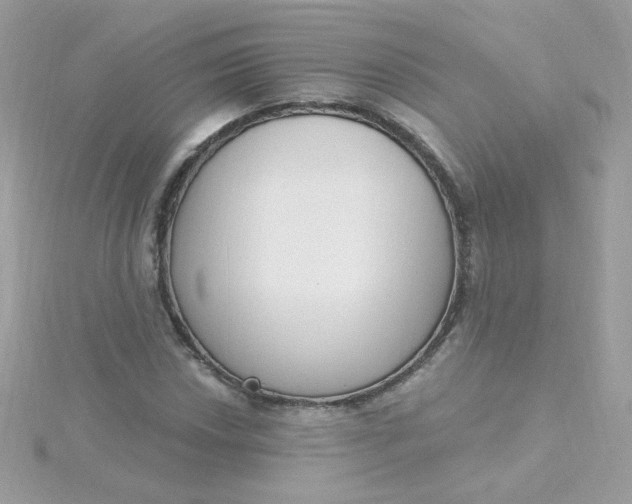 X0000115711018200911251851