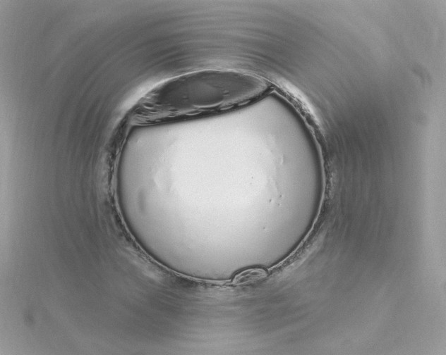 X0000115711019200911251851