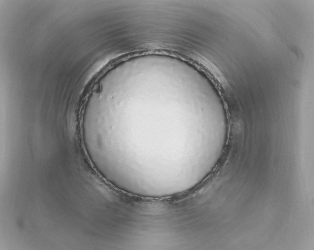 X0000115711023200911251851