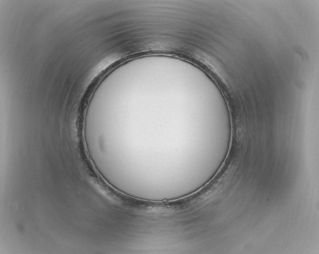 X0000115711026200911251851