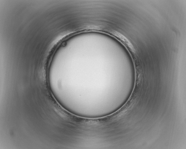 X0000115711027200911251851