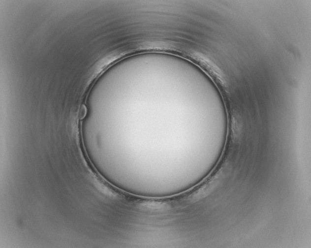 X0000115711033200911251851