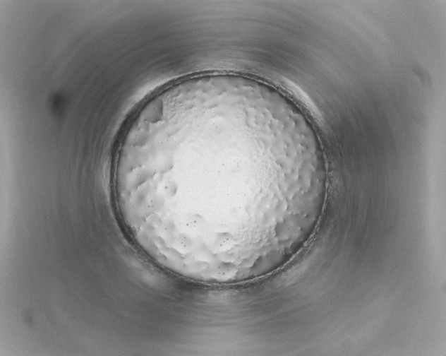 X0000115711035200911251852