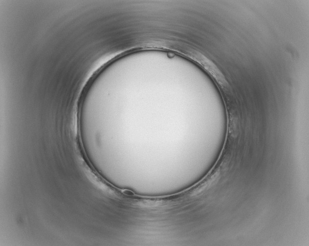 X0000115711036200911251852