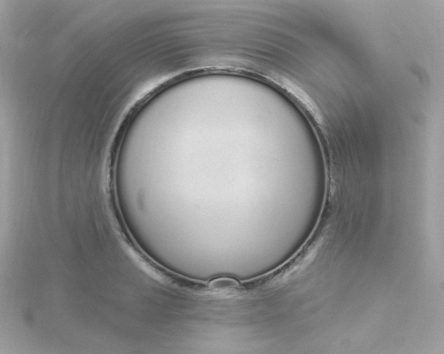 X0000115711037200911251852