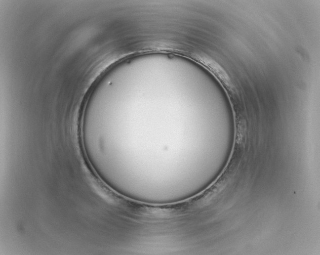 X0000115711039200911251852