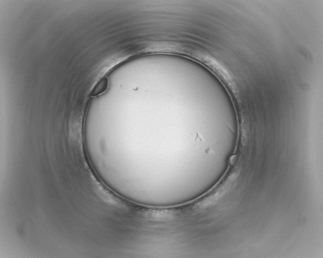 X0000115711041200911251852