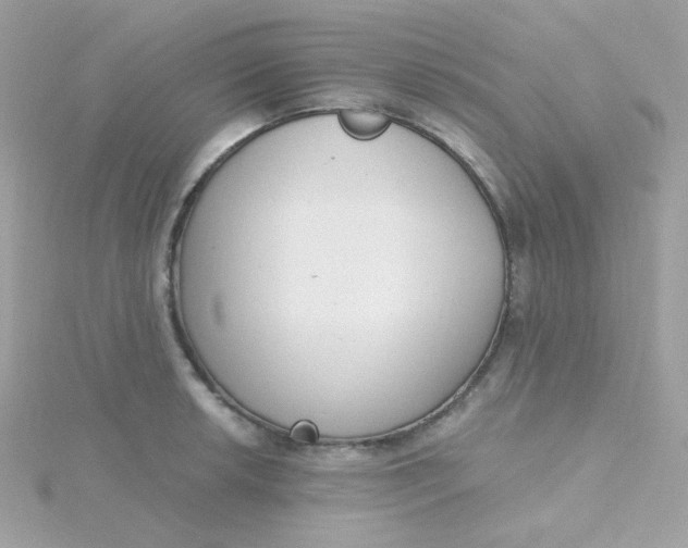 X0000115711042200911251852