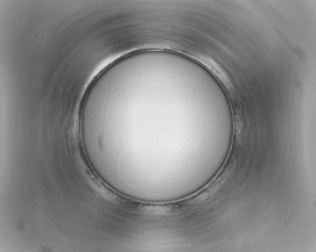 X0000115711044200911251852