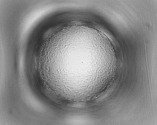 X0000115711055200911251852