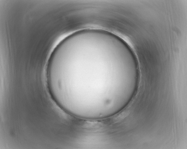 X0000115711056200911251852