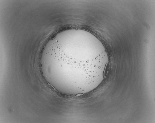 X0000115711057200911251851