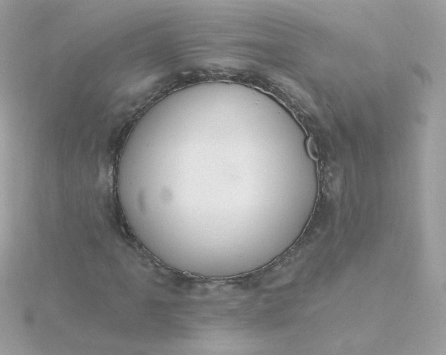 X0000115711061200911251851