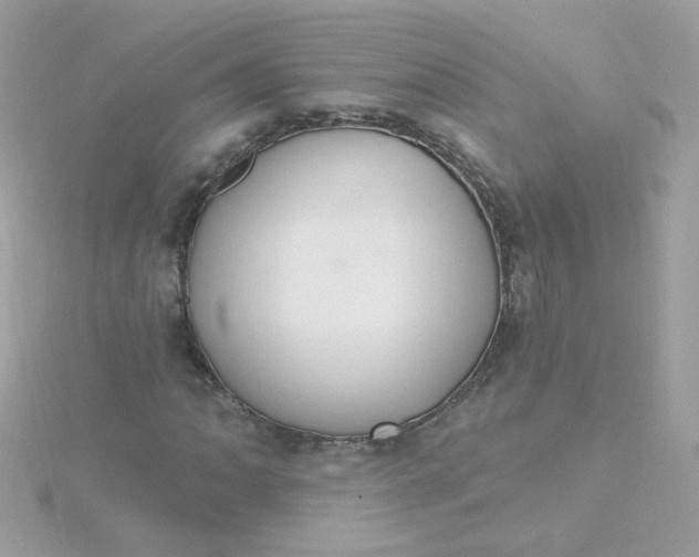 X0000115711062200911251851