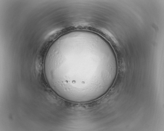 X0000115711063200911251851