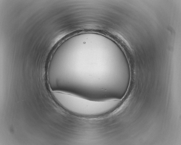 X0000115711065200911251851