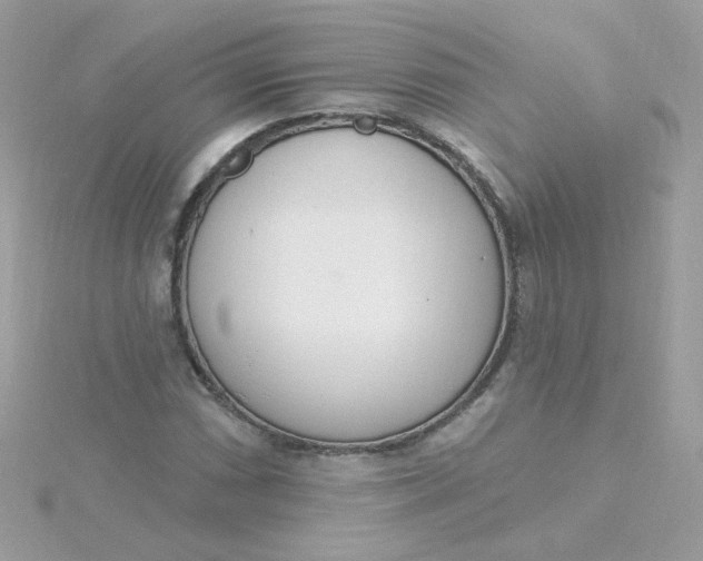 X0000115711066200911251851