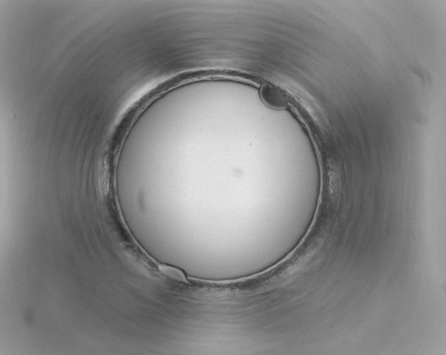 X0000115711069200911251851