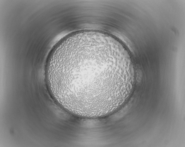 X0000115711074200911251851