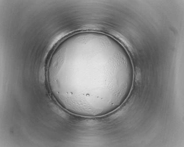 X0000115711075200911251851