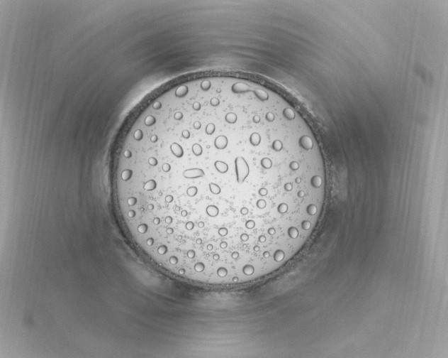 X0000115711078200911251851