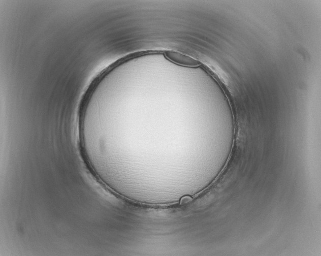 X0000115711080200911251851