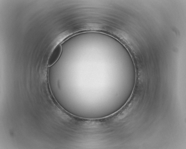 X0000115711081200911251851