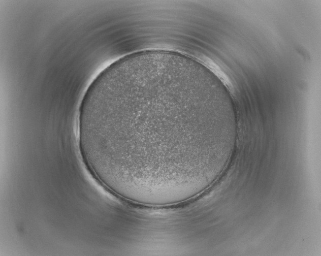 X0000115711084200911251851